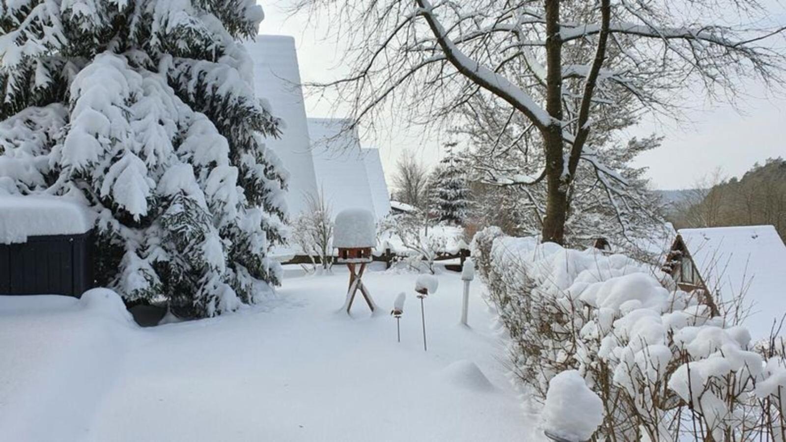 Ferienhaus Am Wald Ronshausen Extérieur photo